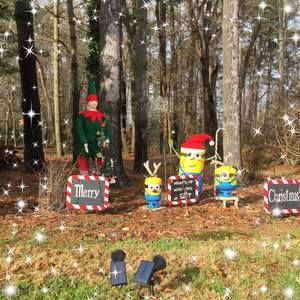 Meet your Posher, Charlotte